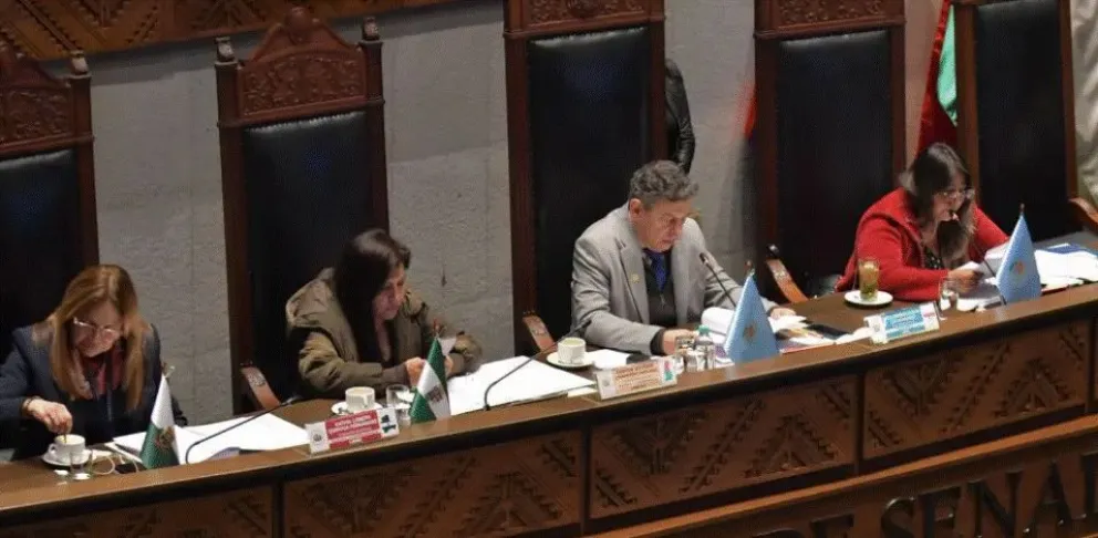 La sesión de la Cámara de Senadores. Foto: Unitel