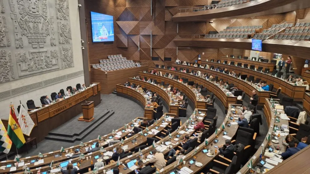 Diputados aprobó el crédito de $us 1.900 millones del FMI y remitirá el proyecto al Senado. Foto: Edmundo Morales
