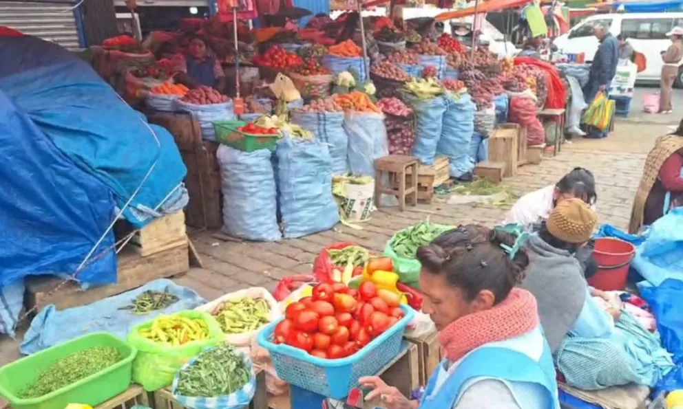 Economistas advierten que los asalariados y rentistas serán los más afectados por la eliminación de la subvención del diésel. Foto: ABI