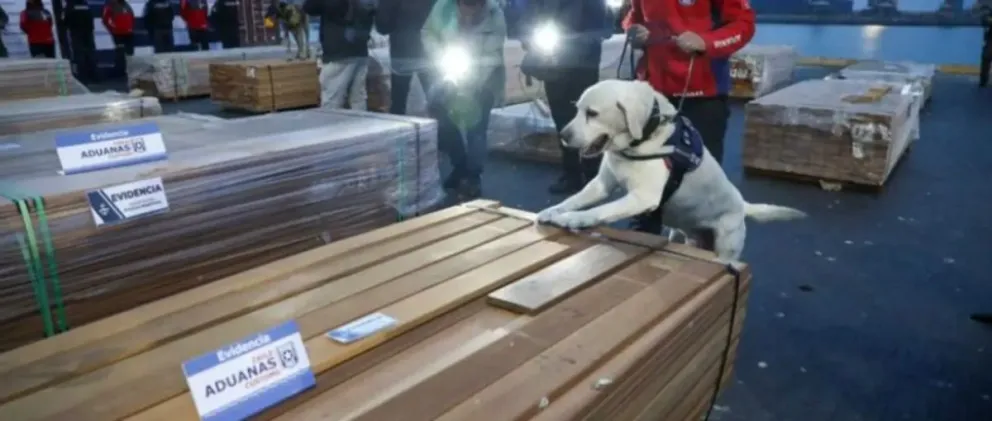 Fiscalía de Chile usó inteligencia artificial para elaborar una lista de productos de exportación que podrían estar contaminados con droga, según los exportadores. Foto: CNN