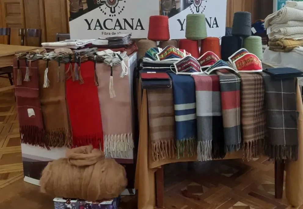 Empresa Yacana cerró la gestión 2025 con parálisis financiera casi total. Foto: Yacana