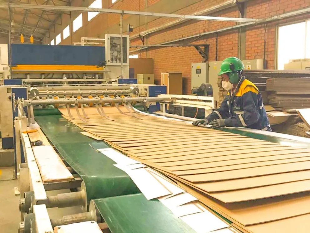 La empresa Cartonbol, una de las que se encuentra en crisis financiera. Foto: El País