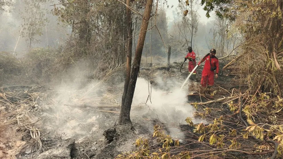 La ola de incendios forestales en Indonesia afecta desde agosto a millones de personas. Foto: EFE 