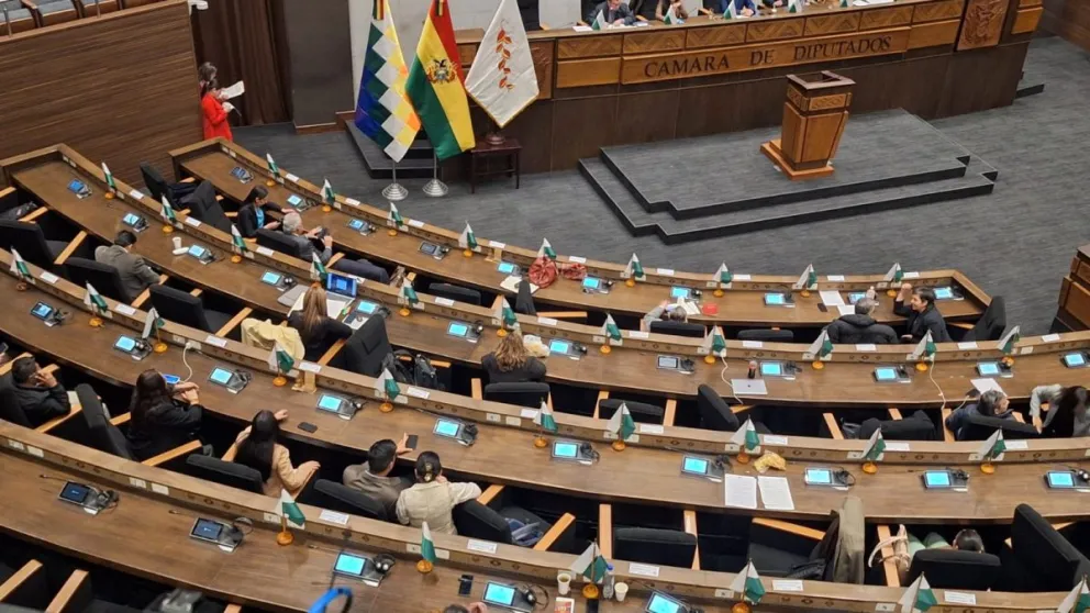 La sesión de Pleno de la Asamblea Legislativa Plurinacional. Foto: Visión 360