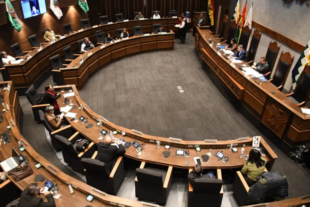 La sesión de la Cámara de Senadores. Foto: APG