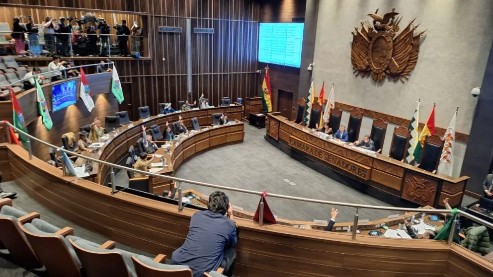 La Cámara de Senadores aprobó el proyecto de ley que modifica. Foto: Edmundo Morales