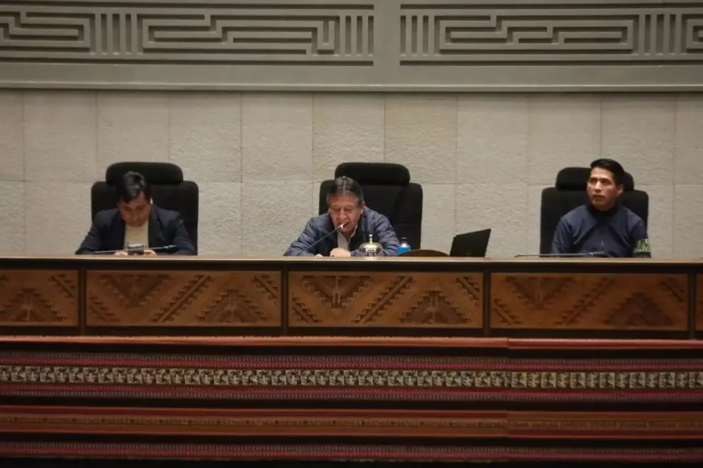 David Choquehuanca preside la sesión en la que se eligió a Roger Mariaca. Foto archivo: Cámara de Diputados