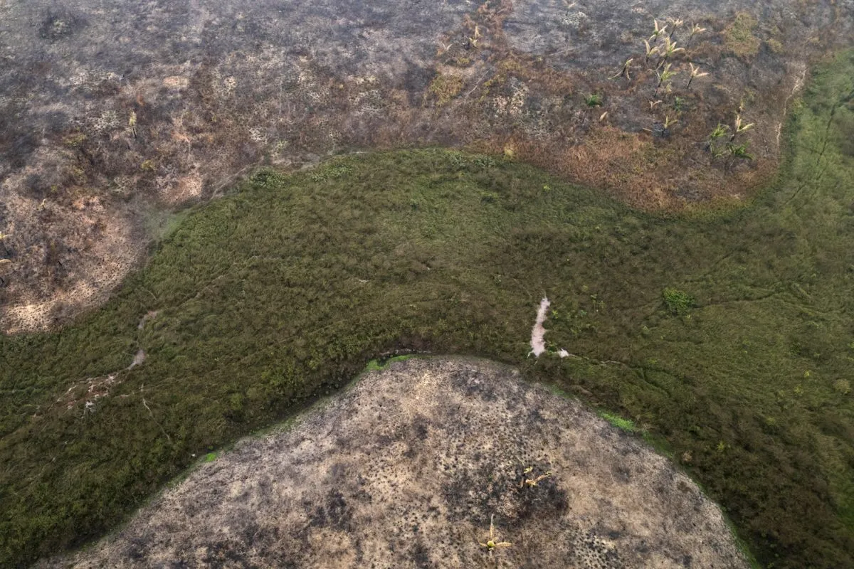 Latin America: Experts draft model legislation to codify ecocide as a crime