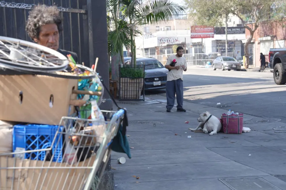 Fotografía del 24 de septiembre de 2026 que muestra a un perro en una calle en Los Ángeles (Estados Unidos). EFE