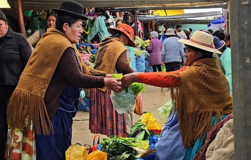 La propuesta contempla alimentos presentes en los hábitos de consumo de la población e incorpora otros que contribuyen a diversificar la dieta, como quinua, lenteja, tunta, haba, frutas, verduras, carnes, huevos y lácteos. Foto: CMSA-LPZ