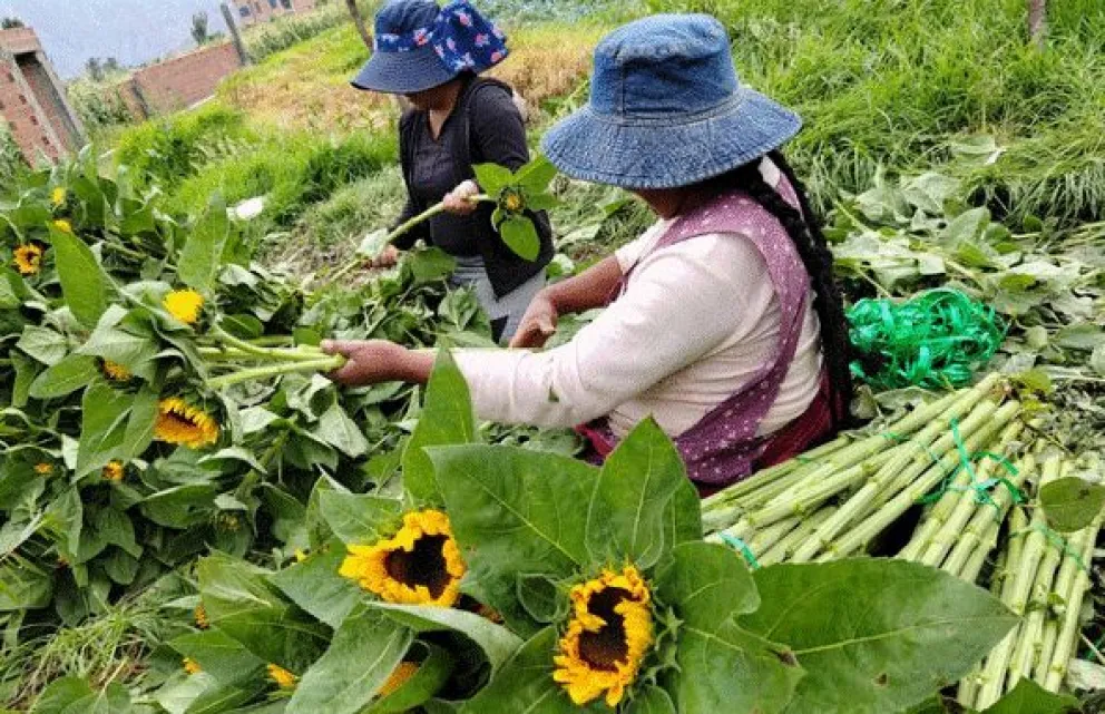 La crisis ambiental también figura entre las preocupaciones del diagnóstico por sus efectos en la salud y los medios de vida de las mujeres. Foto: Coordinadora de la Mujer