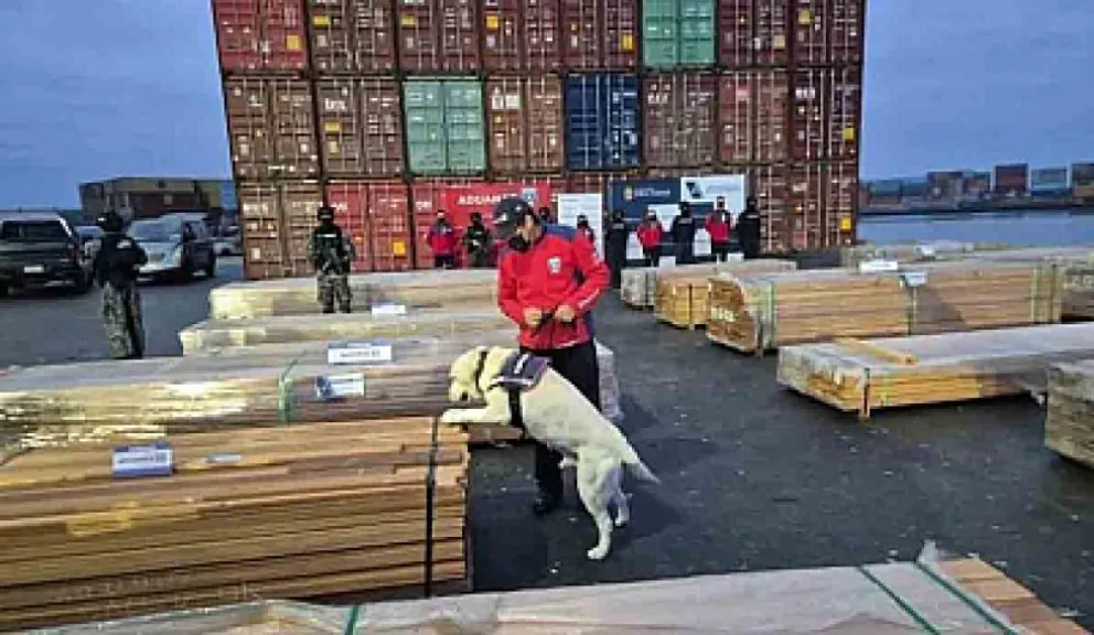 Diplomáticos de los Estados Unidos y México reclamaron al presidente de Chile, José Antonio Kast, por la incautación y quema de madera boliviana. Foto: El Potosí