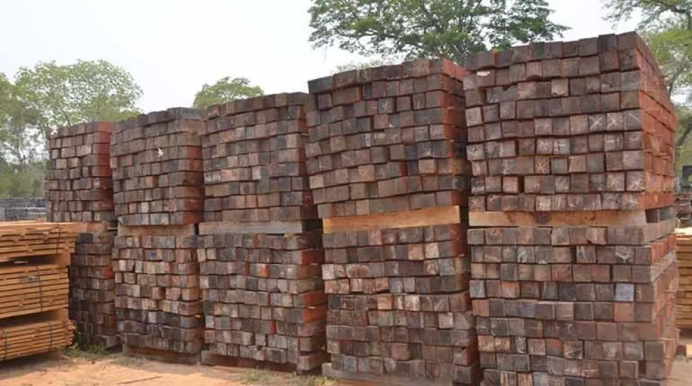 Carga de exportación de madera boliviana. Foto: Cámara Forestal de Bolivia