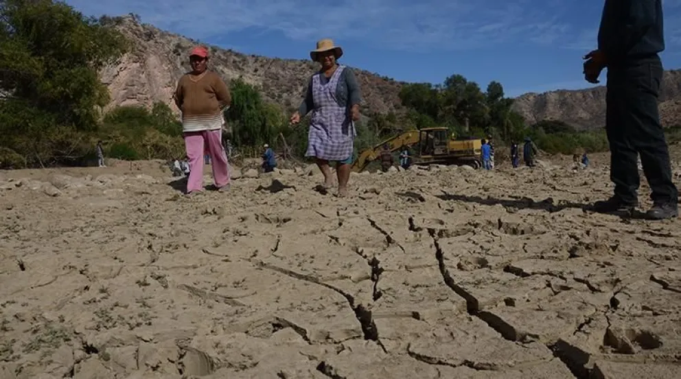 La sequía que se registra en Cochabamba, amenaza a los animales que sufren por la escasez de agua. Foto Radio Pío XII