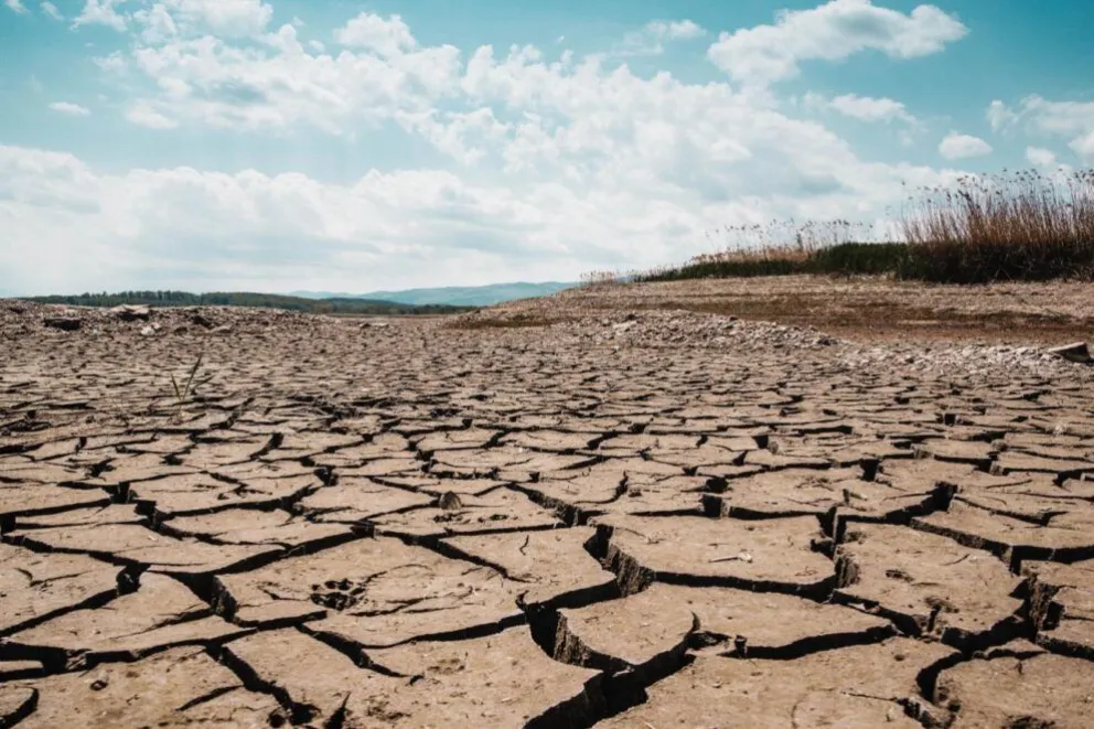 El fenómeno de El Niño causa intensas sequías y pérdida de ganado en Cochabamba y Potosí. Foto: La Patria